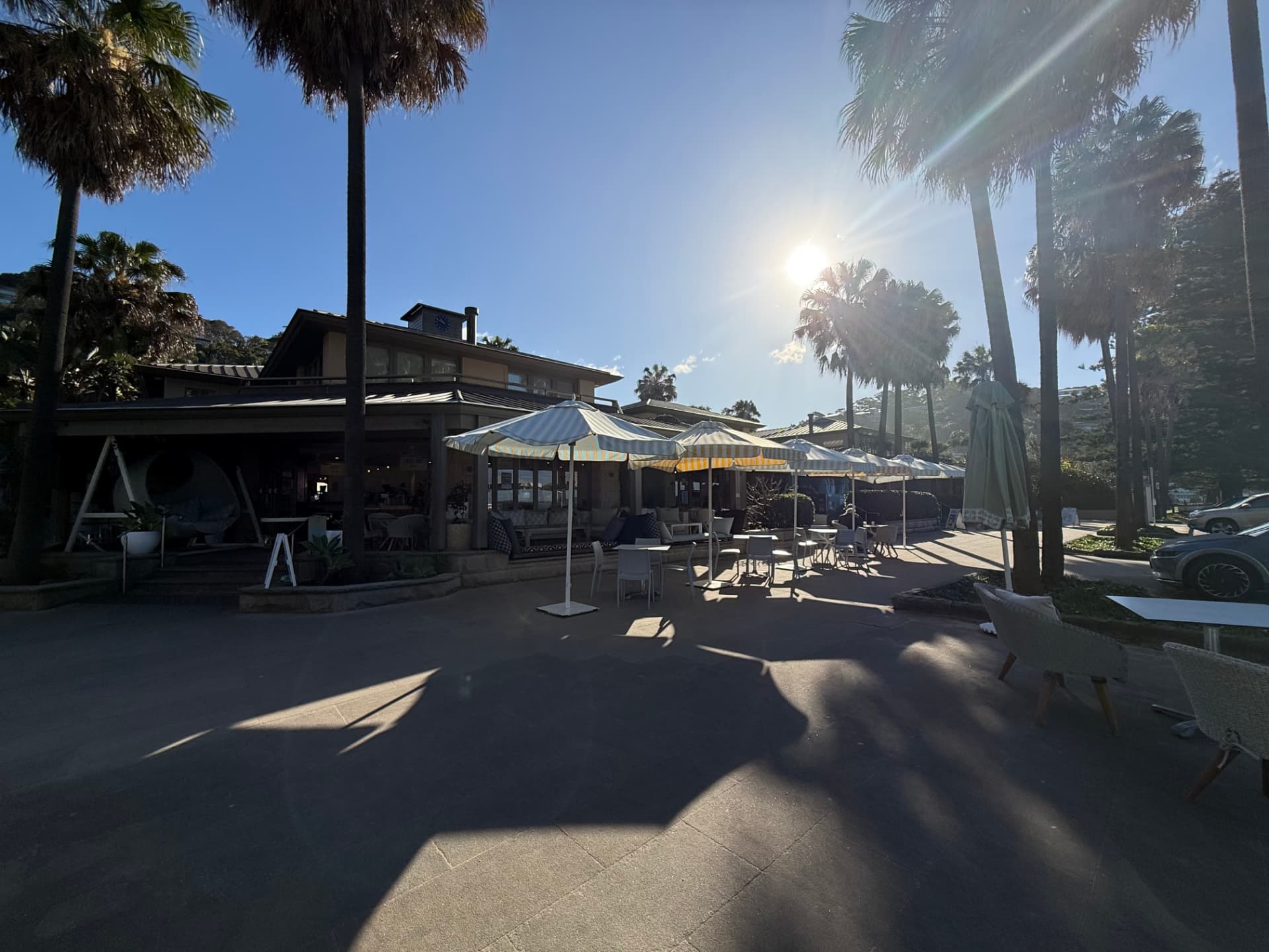 Afternoon sun through the palms above the cafe and its umbrellas